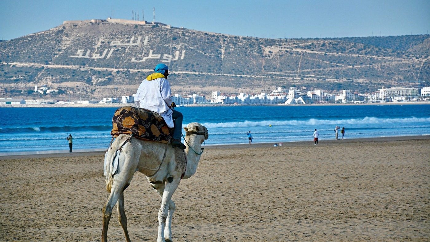 Dromadaire sur la plage d'Agadir