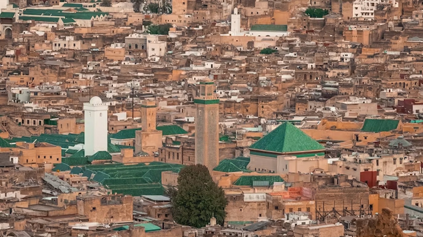 Panorama de la médina de Fès el-Bali