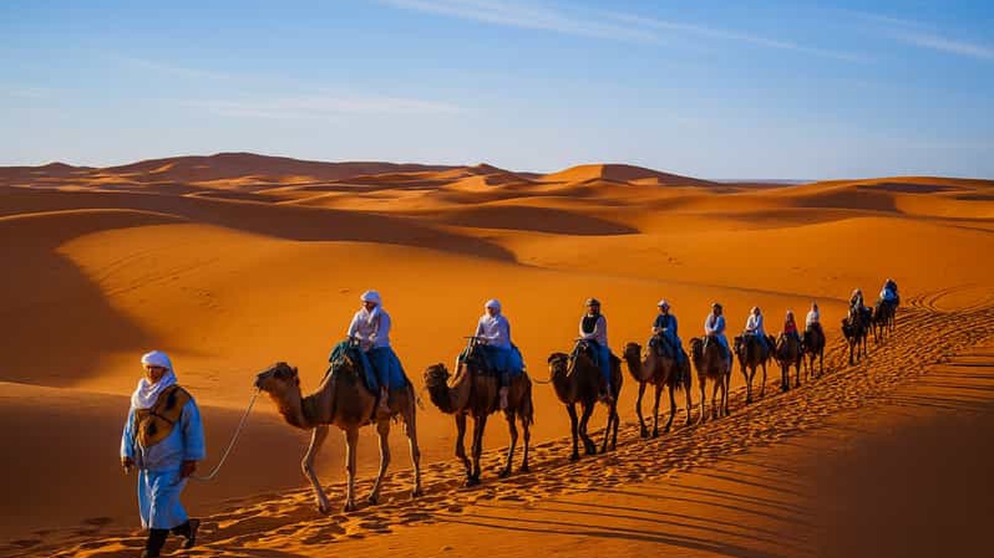 Caravane de dromadaires à Merzouga