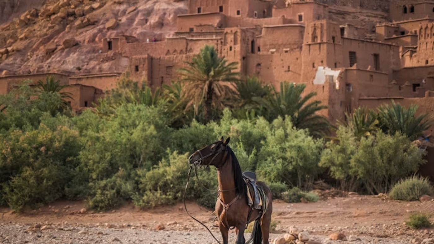 Cheval devant le ksar d'Aït Ben Haddou