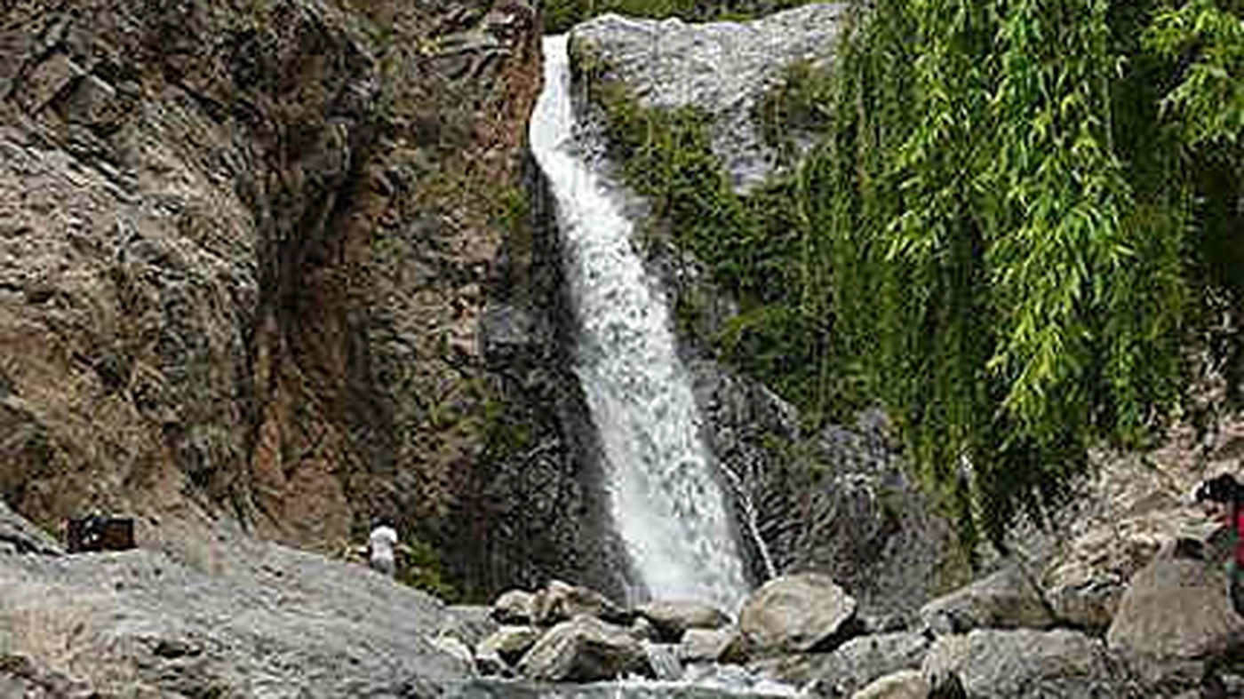 Cascade sous les saules