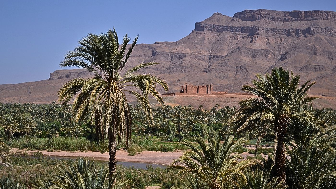 Palmeraie et kasbah sur la route de Zagora